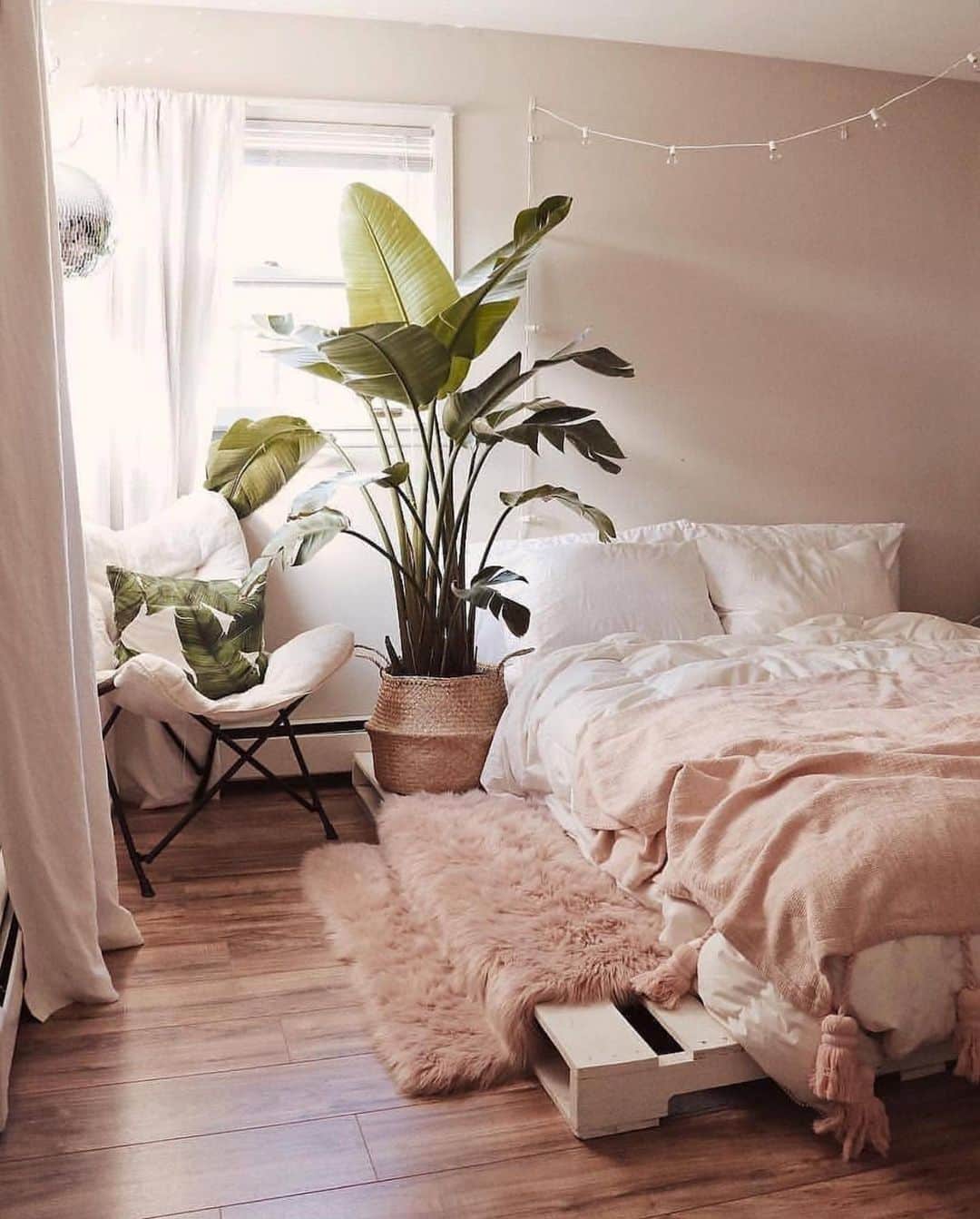 ブルーライフのインスタグラム：「sunday’s are for sleeping in ✨⭐️」