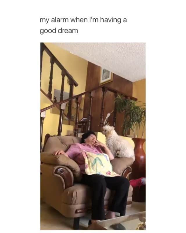 Funny Postsのインスタグラム：「••••••••••• 😂 It weirdly happens everytime 💬 Video by: @diegssx 🎥 Double tap for more videos!」