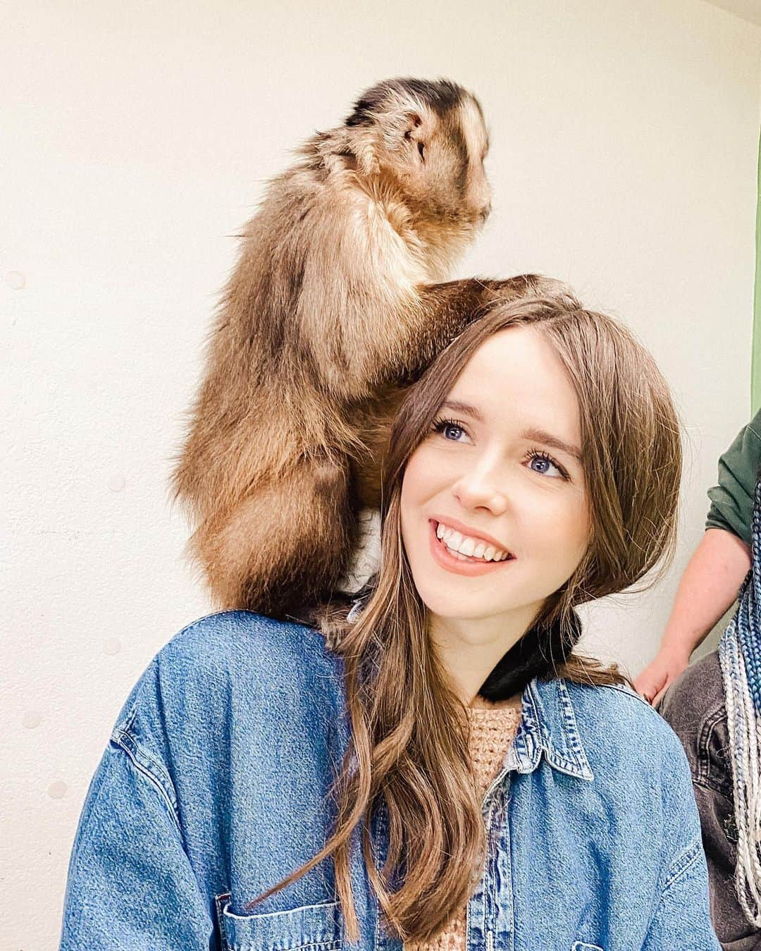 Acacia Brinleyさんのインスタグラム写真 - (Acacia BrinleyInstagram)「We’re just monkeying around here at @animaltracksinc ❤️ we had the best morning spent with the coolest critters and creature I’ve ever met!!!! If you’re in the LA area, please go check them out and learn more about these amazing animals, where they come from, how they ended up at a sanctuary, and why you shouldn’t own any of them as pets! If you’re not in the LA area, please consider donating on their website so they can continue to provide safe and loving habitats for them.🦔🦡🐊🦘🐕🦝🦨🐾 thank you so much @animaltracksinc for having us.」12月30日 4時37分 - acaciakersey