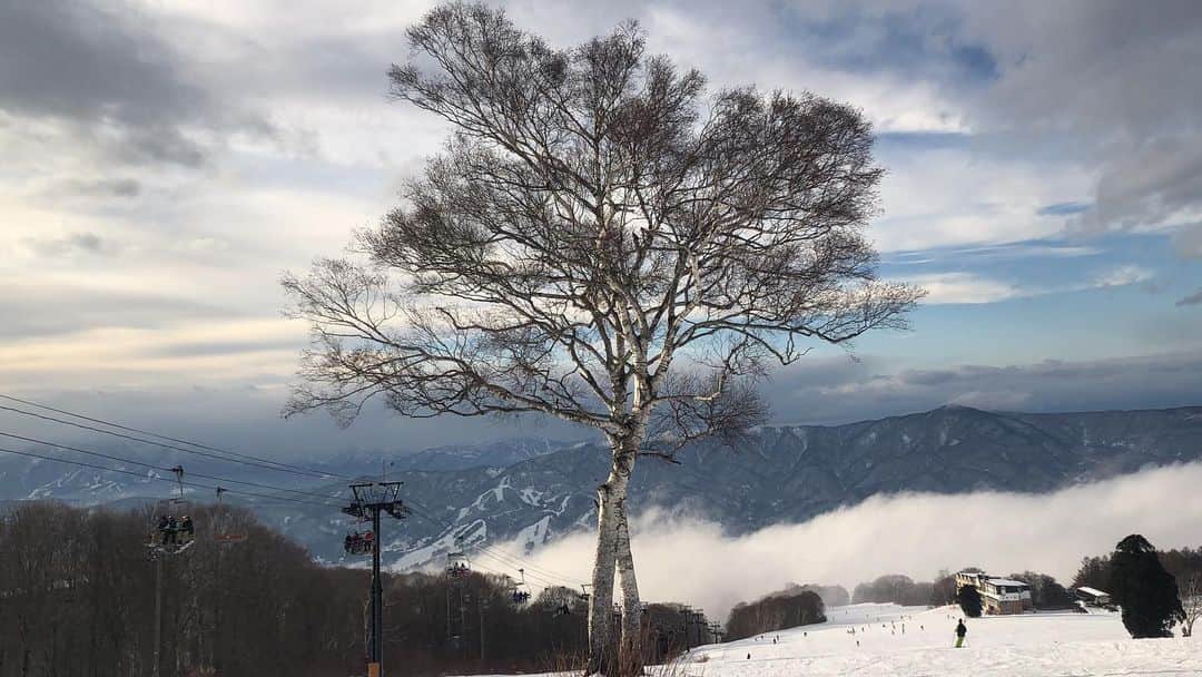 TAIHEIのインスタグラム：「。 静 生 精 青 暒  日本の冬。 俺は好きだねぇ」