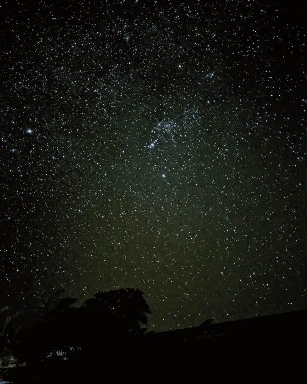 中川珠里さんのインスタグラム写真 - (中川珠里Instagram)「.﻿ びっくりする位の満点の星🌠﻿ 初めはゾッとした位、、﻿ とにかく綺麗‼️﻿ pixel持ってきてて良かった📱 ﻿ わたし達の泊まった場所は特に高い土地にあって周りに何もなかったの。﻿ だから凄く近くに星を感じたよ！！﻿ ﻿ #bigisland﻿ #星空撮影﻿ #googlepixelで撮影」12月30日 15時14分 - juri1104