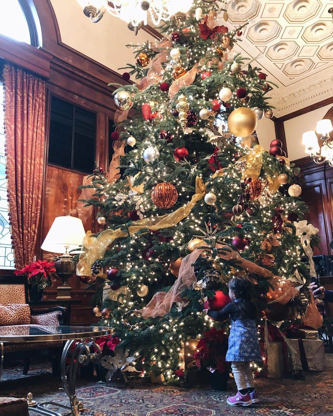 大橋菜央さんのインスタグラム写真 - (大橋菜央Instagram)「Best Christmas tree 2019👑 . . . 今年見たクリスマスツリーの中で 間違いなく一番感動したツリー🎄 . 通りすがりにステンドグラスの向こうに見えたデコレーションが素敵過ぎて 思わず立ち寄ったThe Benson Hotel🔔 . 高い天井いっぱいに広がるリアルなモミの木に 見たことないくらい大きなオーナメントや 所々に散らばるクラシカルなボタニカルモチーフのオーナメント ストールほども幅のあるオーガンジーのリボン🥳 . どれも立派で見惚れました🥺🤍 . . . #thebensonhotel #thebensonhotelportland #bestchristmastree #bestchristmastree2019  #1yearold #22monthsold #1歳10ヶ月 #たれ目 #たれ眉 #portlandlife #ポートランド #miababyliving #naoliving_portland #naoliving_hotelryokan #naoliving_christmas」12月30日 15時31分 - naoliving