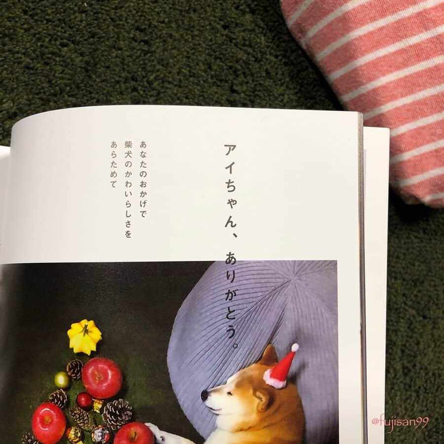 ai-chanさんのインスタグラム写真 - (ai-chanInstagram)「ai-chan mama🙂 🐕『柴犬ライフ』📖 クリスマスに発売された柴犬誌 . アイちゃんとの思い出を振り返ってみませんかと、 もういないアイちゃんにそんな話をいただけるとは、夢にも思っておりませんでした📖 . アイちゃんのページによせてくださった編集者さんのメッセージに、じ〜んとしました🐕♡♡ . そして、短い文章でこんなに人を感動させる編集者さんて、なんて素晴らしいんだろうと一気に憧れました🥰 . 🐕『Life of shiba-dog』📖 Ai-chan's life article is in the magazine. Memory of ai-chan & my family. This magazine is wonderful. My family really appreciate all💕 Ai-chan, You are amazing😌🐕 . #柴犬ライフ #凸版印刷 #柴犬 #思い出 #頑張れアイママ」12月30日 7時25分 - fujisan99