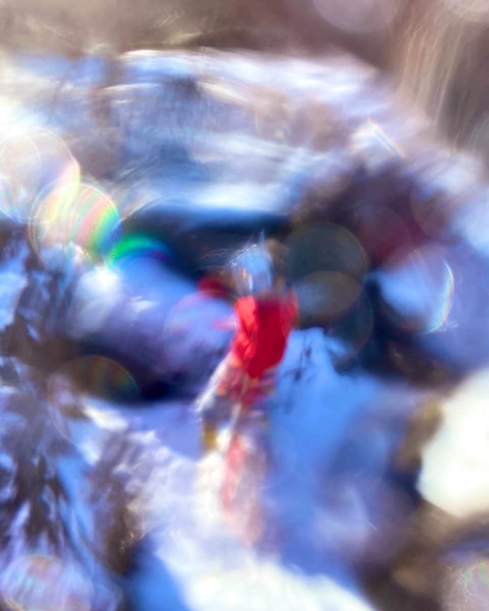島崎直也さんのインスタグラム写真 - (島崎直也Instagram)「‪コオリゴシノセカイ‬」12月30日 7時45分 - naoyaman01