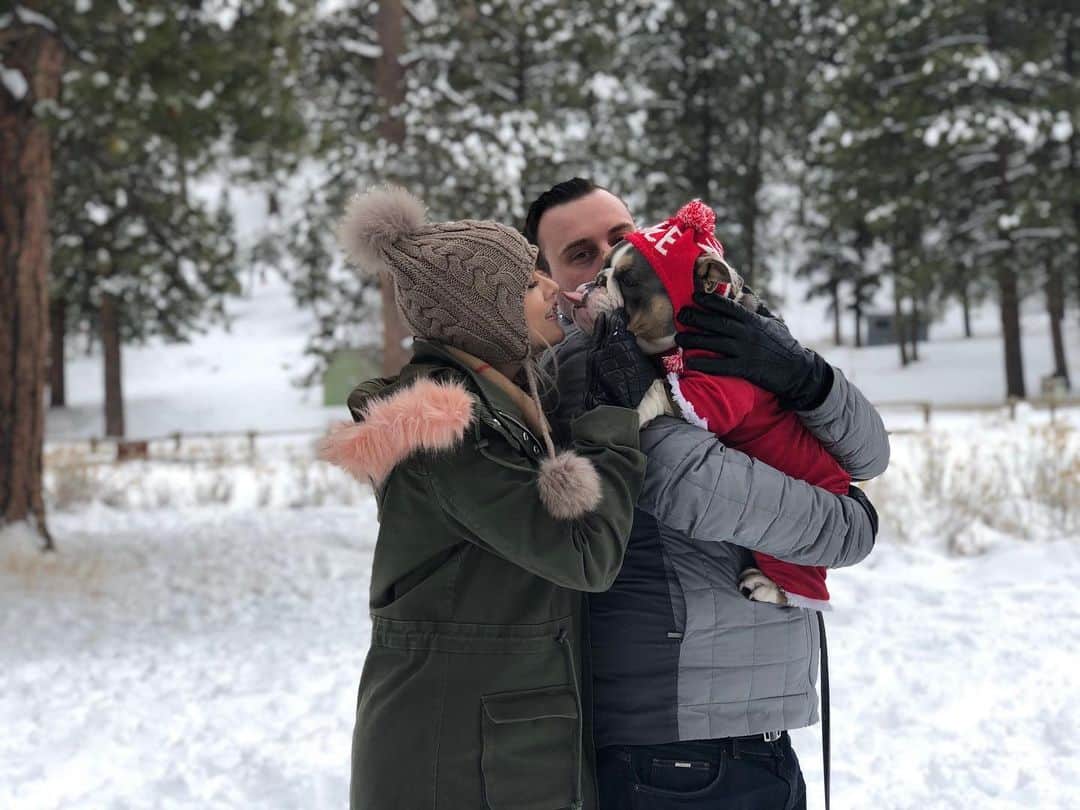 Bodhi & Butters & Bubbahのインスタグラム：「Peanuts’ first time in the snow ❄️ . . . . . #bulldog #puppy #love #lasvegas #snow #winter #holiday #bestoftheday #dogsofinstagram #sweet #angel #baby」