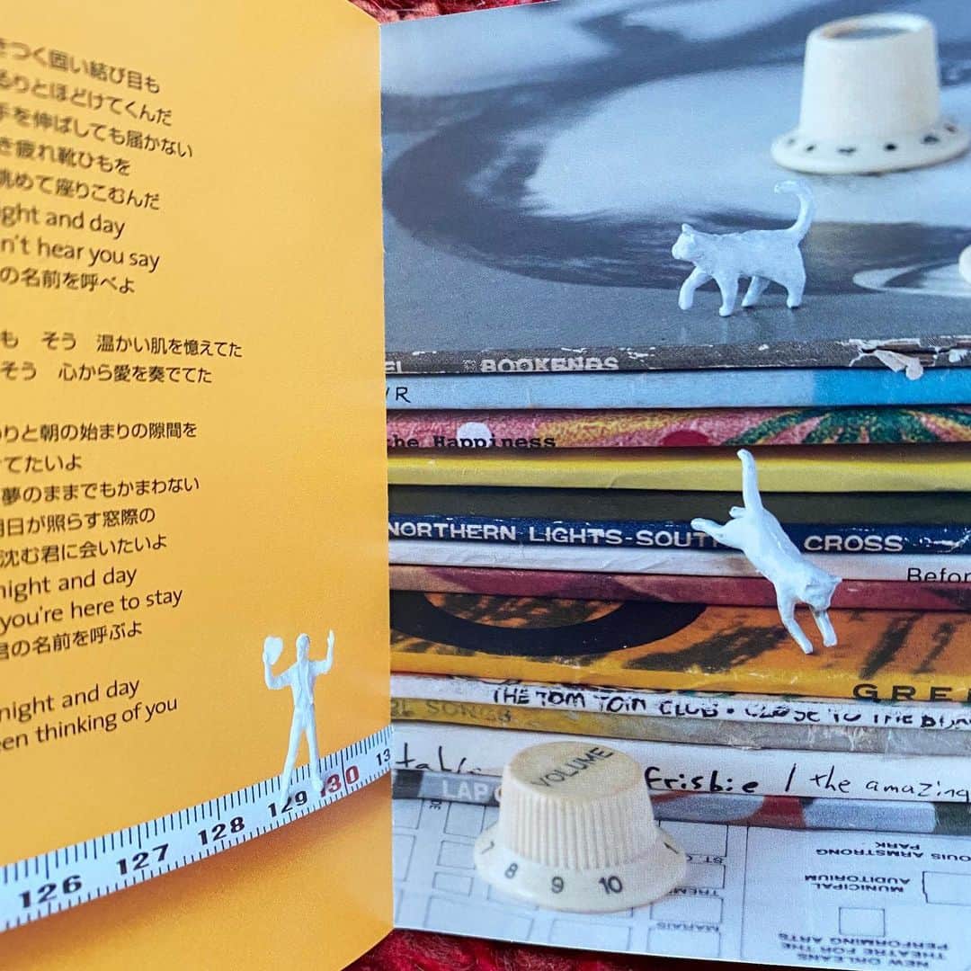 山田稔明さんのインスタグラム写真 - (山田稔明Instagram)「『memori』歌詞ブックレット裏話。上から4枚目の黄色いレコードはBEAT HAPPENING1985年のコンピレーションアルバム。『memori』には「猫」という言葉がたったの一回しか出てこないが、こういうふうに猫がこそっと隠れている。 #朝一番に聴くレコード #gth_memori」12月30日 8時26分 - toshiakiyamada