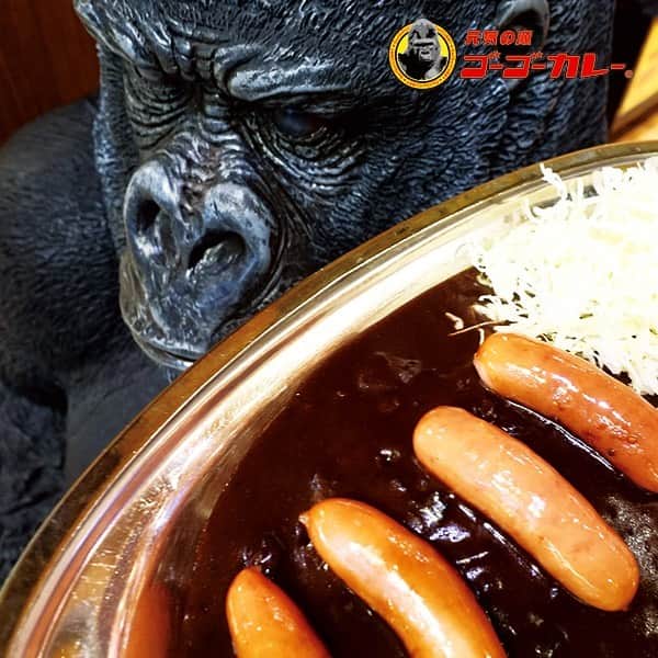 ゴーゴーカレーのインスタグラム：「今年もあと2日‼️年末年始もお待ちしています‼️‼️ 年末年始の営業はHPから🦍 . #ゴーゴーカレー #curry #金沢グルメ #japanese  #お得 #gogocurry #カレー #カレーを華麗にいただきます #お取り寄せ #日本 #japan #金沢カレー #金沢 #石川 #カレー部 #カツカレー #揚げ物 #foodstagram #写真好き #カツカレー #yummy #サービス #eat #食べ歩き 　#パン　#年末」