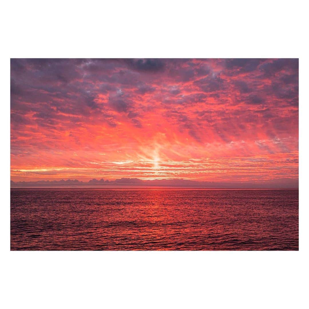 Pete Halvorsenのインスタグラム：「tonight was a 4 alarm🔥, sneaky late sunset when most people had already turned their backs and headed home, then the sky lit up with this unreal color. Also great to run into a few friends @hanaasano & @tmeyer__ out there enjoying their own #PierPressure sunset. Counting down the last few days of the decade! . Leica Q」
