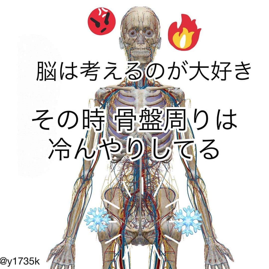 y1735kのインスタグラム：「年末、気忙しい、、。 いつもと変わらないのに、なんだか考えることも多いような、身体は疲れ切ってるのに 夜寝付けない。 ・ ストレッチしても寝付けない、、 ・ 年末じゃなくても 忙しい世の中。誰もがこのような経験あるのではないでしょうか？？ ・ 脳は考えるのが大好き。 それが仕事だから。 ・ でも脳を使いすぎていると 本来身体の中心、骨盤内で気血が生み出され全身に送り出され循環されるはずが、頭に大量の気血が奪われてしまう。この、状態 現代人は殆どなのかもしれません。 ・ 頭に気血が溜まりすぎているから、イライラ、のぼせた感じがしたり、火照る。（写真1枚目） ・ 骨盤内に気血が足りてないから 生理不順、冷え、性機能低下などの原因に繋がる。 ・ 夜、興奮して眠れない時。頭が熱いような、火照るような感覚があるから 全身も熱く冷えた感覚はないかもしれませんが、そんな時、骨盤（下腹部あたり）を触ってみてください☝️ ・ 冷んやりしてるはずです❄️ 骨盤内に気血が足りてないのがわかると思います。 ・ そんな時は 頭の火照りを冷やす。家であるもので簡単にできます。 ・ ［手順］ ①冷えピタか保冷剤を用意 ②おでこや後頭部などにあてる ・ しばらくすると 頭の気血がすーっと下におりて骨盤まわりがじわっーと暖かく、下半身にも血流を感じるはずです。（写真3枚目） ・ 足先が冷えると骨盤も冷えます。 どちらか温めてあげると ・ 私は おでこに冷えピタ、下腹部に玄米ヌカカイロをあてて 寝る時もありますよ〜💁‍♀️ ・ 忙しい年末年始、是非身体を労わってあげてくださいね💆‍♀️ ・ #冷えとり #玄米ヌカカイロ #骨盤 #のぼせ #bodymake」
