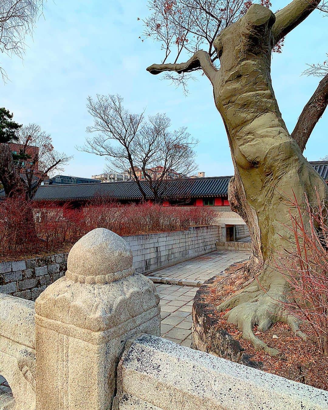 百合華さんのインスタグラム写真 - (百合華Instagram)「韓国のソウル特別区にある世界遺産『昌徳宮』を見学してきました🎶﻿ ﻿ 今回は韓国の歴史についてのお勉強も兼ねて大好物な世界遺産を訪れてみました🥰﻿ ﻿ 朝鮮王朝時代の宮殿の内で最も創建時の面影が残っているとの事で、カラフルなデザインの貴重な建築物と広大な庭園との調和を楽しむ事が出来ます✨﻿ ﻿ クリスマスだったからかこの日は入場料が無料だったからちょっぴりお得な気分ww❤️﻿ ﻿ #korea ﻿ #韓国﻿ #seoul ﻿ #ソウル﻿ #worldheritage ﻿ #世界遺産﻿ #世界文化遺産﻿ #昌徳宮﻿ #チャンドックン ﻿ #宮殿﻿ #朝鮮王朝﻿ #庭園﻿ #trip ﻿ #travel ﻿ #travelphotography ﻿ #travelgram」12月30日 12時25分 - yurika.lovelily