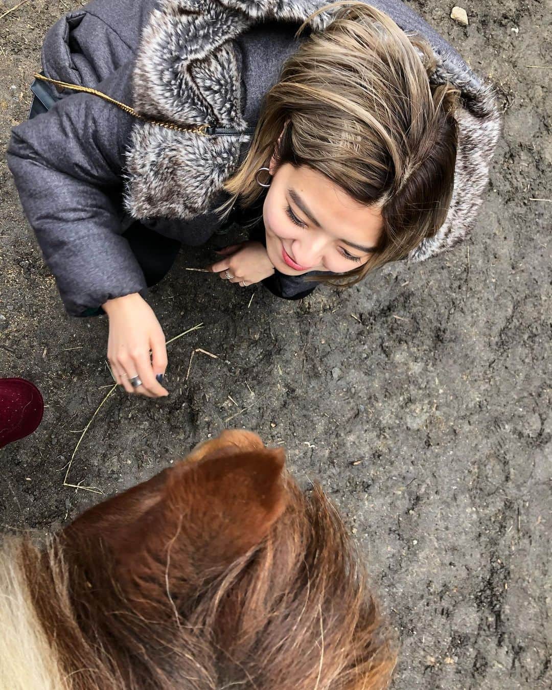 畑井咲耶さんのインスタグラム写真 - (畑井咲耶Instagram)「初乗馬体験🐴❤︎ #与那国馬 #ポニー」12月30日 12時39分 - saya_hatai