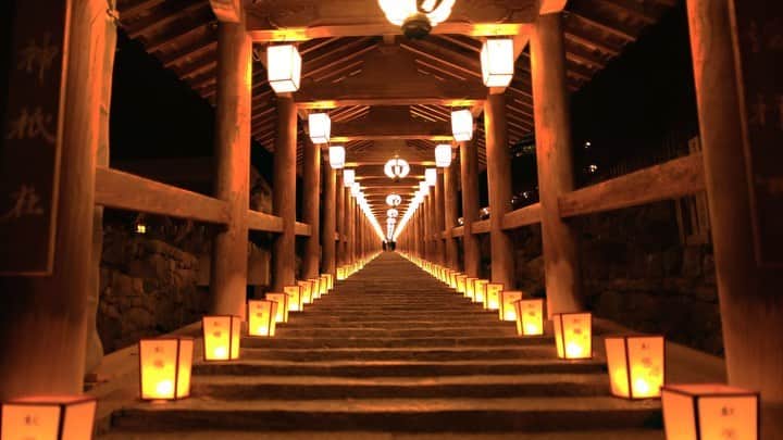 奈良 長谷寺 / nara hasederaのインスタグラム