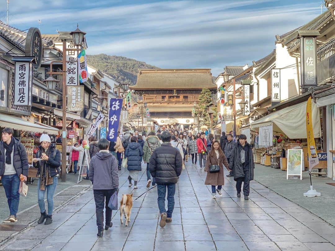 JAPANのインスタグラム：「Zenko-ji entrance」