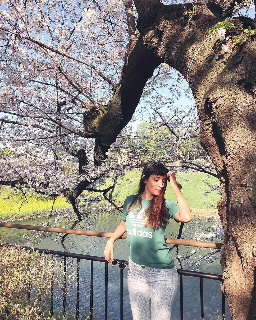 Jade Furutaのインスタグラム：「Doing more @tokyotourguide private tours this spring☺️🌸今年もツアーリードしますよーん！Less than 3 months till the #cherryblossoms are back, can you believe it?😱 . . . . . . . . . . . . . . . . . . . . . . . . . . #tokyotour #tokyo #mtfuji #ハーフモデル #japan #japantour #tokyocitytour #osakatour #fujitour #hokkaidotour #kyototour #origamijapantour #jepangsewamobil #インフルエンサー #sakura #jepangtravel #pakettour #tourjepangprivate #インスタグラマー #holiday #instatravel #rentalmobiljepang #観光インフルエンサー #japanprivatetourguide #shirakawagotour #mtfujijapan #travelkejepang #bhfyp #cherryblossom」