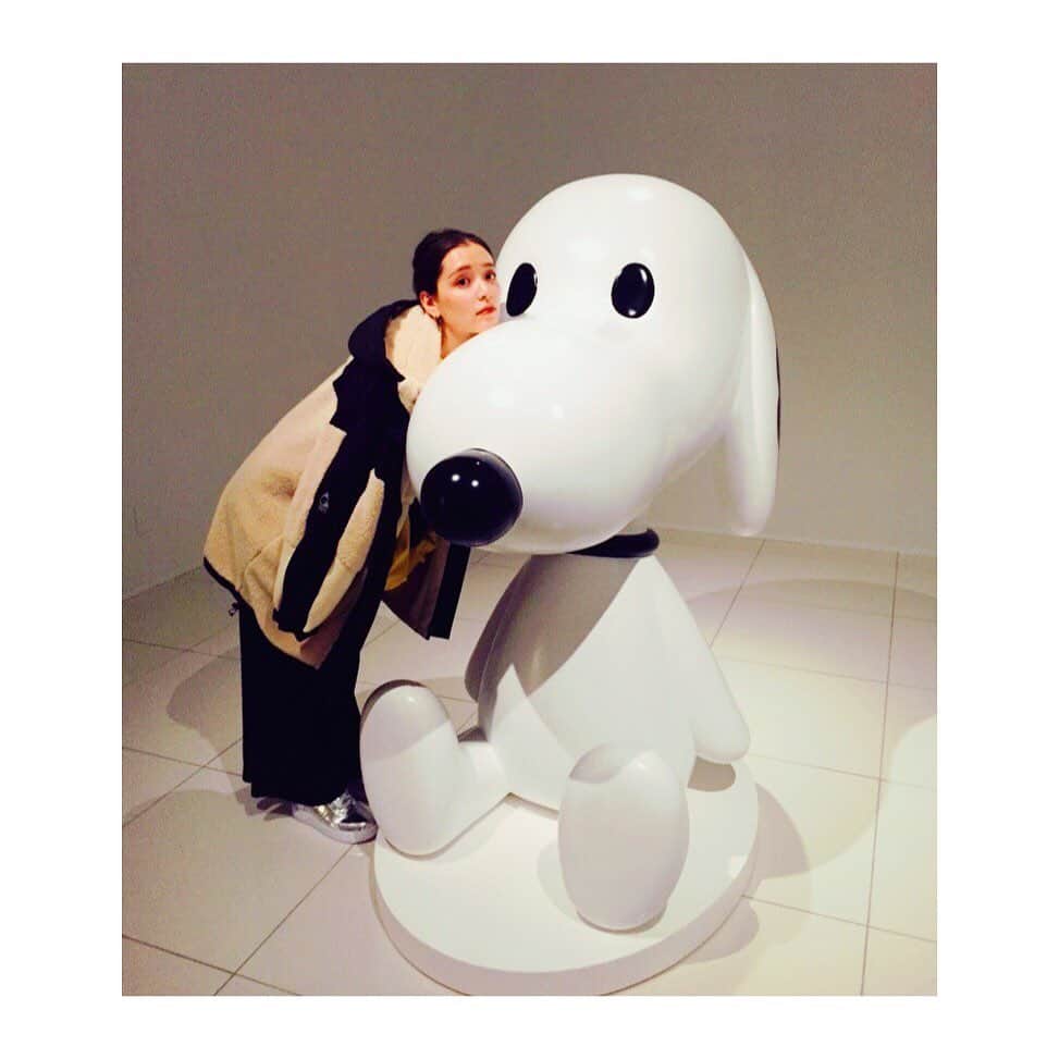 のインスタグラム：「🐶 2019年もありがとうございました 今年もたくさんの方と出会い たくさんの方のお世話になりました 本当にありがとうございます 2020年も感謝の気持ちを忘れず たくさんの方とガシガシ関わっていく所存ですので 来年も何卒よろしくお願い致します  何の根拠もないけれど 来年はすごく良い年になる予感がしてる ・ #2019 #大晦日 #今年もお世話になりました #来年もどうぞよろしくお願いします #犬と犬顔」