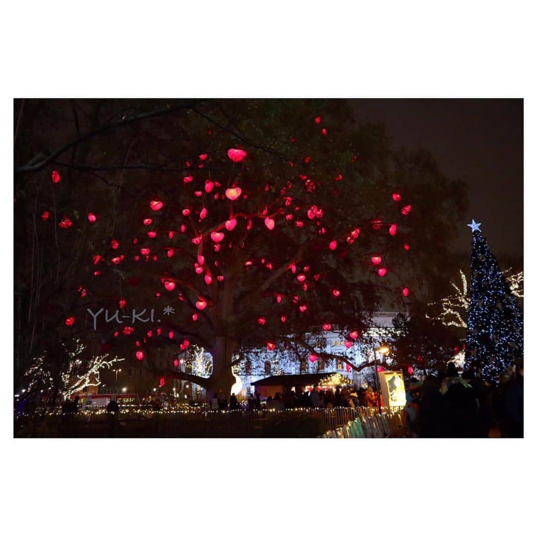 のインスタグラム：「. ハートのなる木♡. * . 2019年も残すところあと1日ですね！ 今年も一年ありがとうございました ◟̆◞̆♡ お休みの方もお仕事の方も みなさんにとって良い年越しを 過ごせることを祈ってます(﹡ˆoˆ﹡) . そんな想いでこの写真を投稿します♡♡ . #hearttree #christmasmarket #christkindlmarkt #weihnachtsmarkt #wienerchristkindlmarkt #rathausplatz #wien #cameragirl #EOSkissM #travelgirl #ilovetravel #iloveeurope #love #happy#ハートのなる木 #ハートの木 #クリスマスマーケット #市庁舎 #ウィーン #オーストリア #カメラ女子 #海外一人旅 #女子旅 #旅好き」