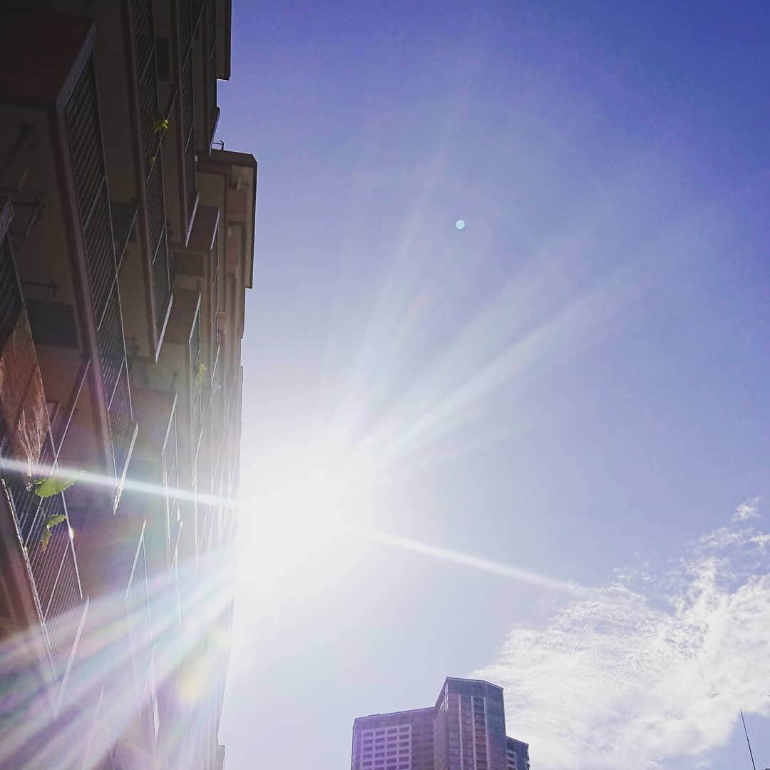 松坂南さんのインスタグラム写真 - (松坂南Instagram)「日差しの強い日  #lovethesky」12月31日 1時04分 - minami_matsuzaka