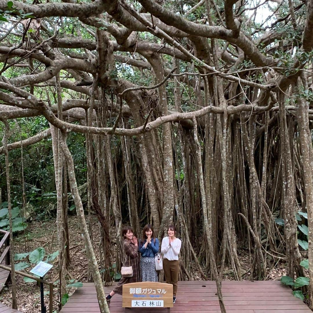 八幡愛のインスタグラム：「2019年最後の旅✈️ 沖縄のパワースポット大石林山にて2020年を迎える力を頂戴いたした⛰ おかげでギンギンです💪  いっぱい食べて飲んで🍺🐷 この旅で私たちはいろいろダサいということを改めて確認した🤷‍♀️ 特にわたしは群を抜いてダサい。 頭でっかち文化系オタク。 童貞・ソーヤング。  来年はもう少し落ち着いた女性になりたいです。  #チェックのワンピにヒョウ柄のスニーカー合わせるの個性って思ってるやろって指摘されてなんも意識してなかったのに結局めっちゃダサくて恥ずかしい #そんな自分が好き #ダサい #一発やるまで死ねるか」