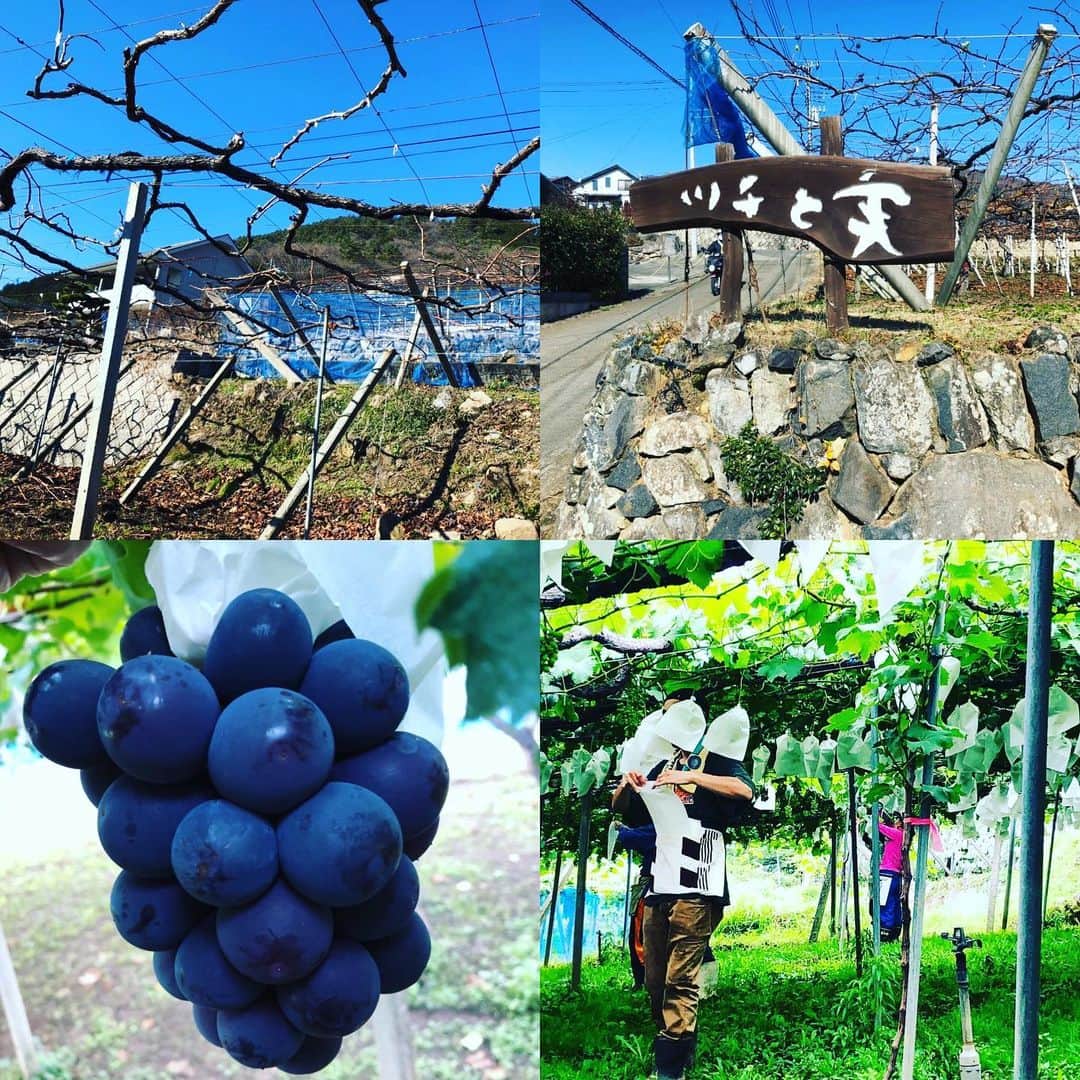 ツチと実のグルメインスタ