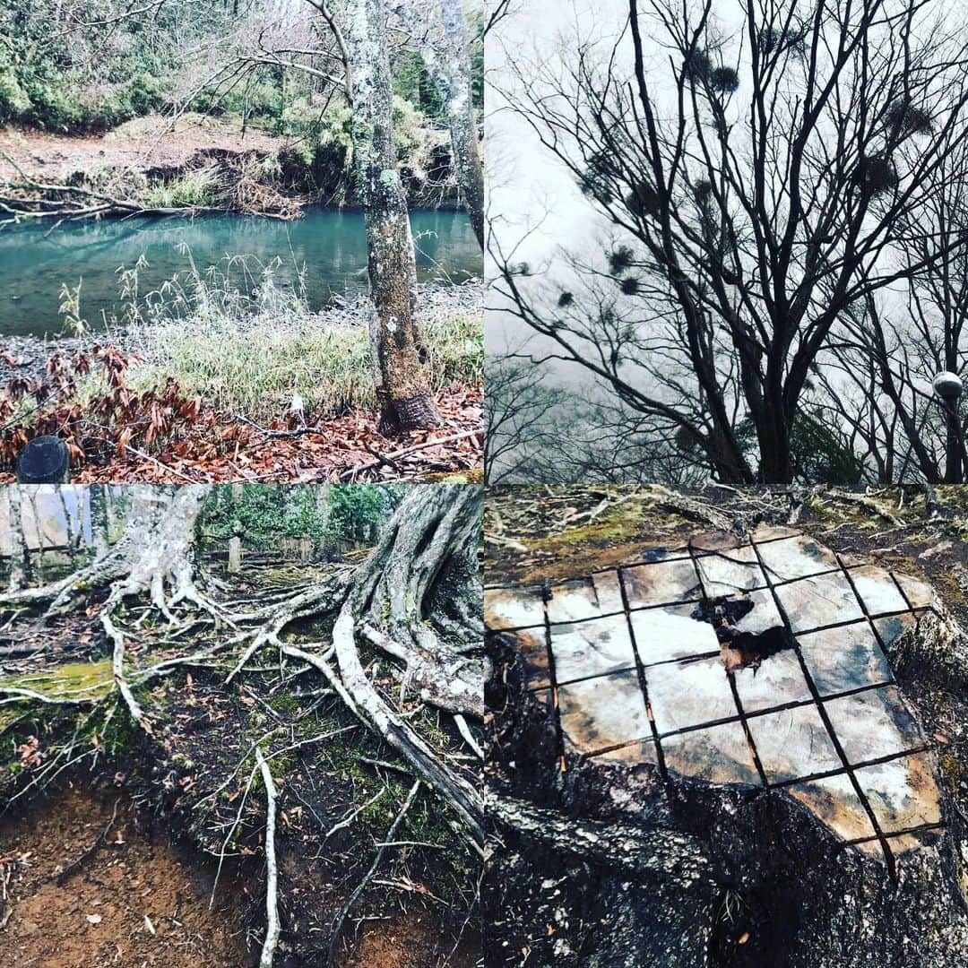 遠山正道のグルメインスタ