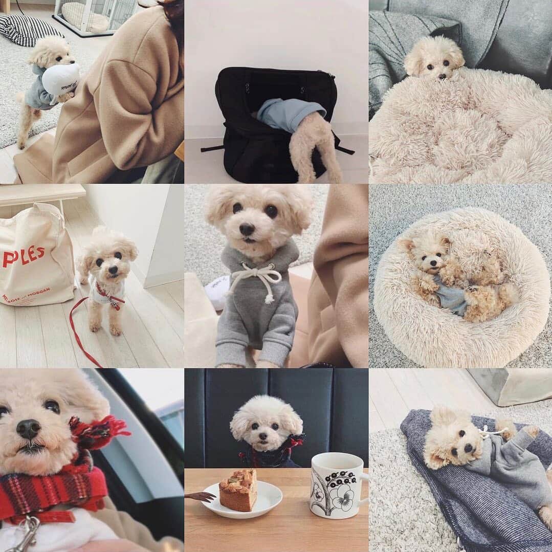 mizuのインスタグラム