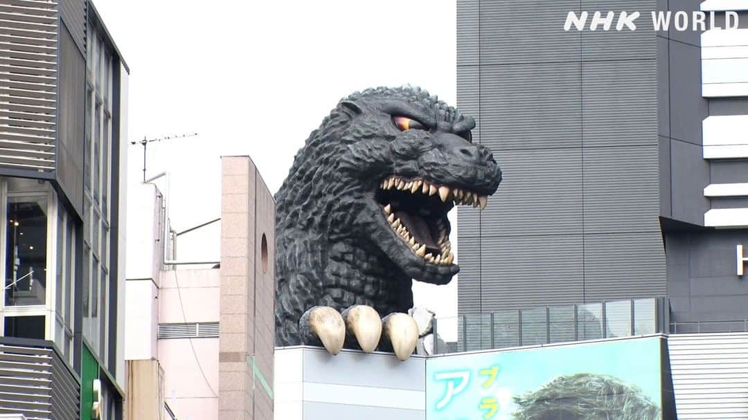 NHK「WORLD-JAPAN」さんのインスタグラム写真 - (NHK「WORLD-JAPAN」Instagram)「Try this quick GODZILLA QUIZ! 🦍 Why is Godzilla called Gojira in Japanese? 🐋 What’s the behemoth’s connection with US nuclear testing in the Pacific? 🤔 . 🙋For all the answers ▶️ Japan’s Top Inventions: Special Effects Monster Movie | Free On Demand | NHK WORLD-JAPAN website. . . #godzilla #eijitsuburaya #kingofmonsters #kaijuu #rodan #mothra #kingghidora #minilla #hedorah #gojira #mechagodzilla #gigan #anguirus #biollante #baragon #destoroyah #japanesecinema #tokusatsu #japanesemonster #moviemonster #suitmation #creaturesuit #haruonakajima #specialeffects #ishirohonda #japanculture #JapansTopInventions #nhkworld #nhkworldjapan #nhk」12月30日 17時00分 - nhkworldjapan