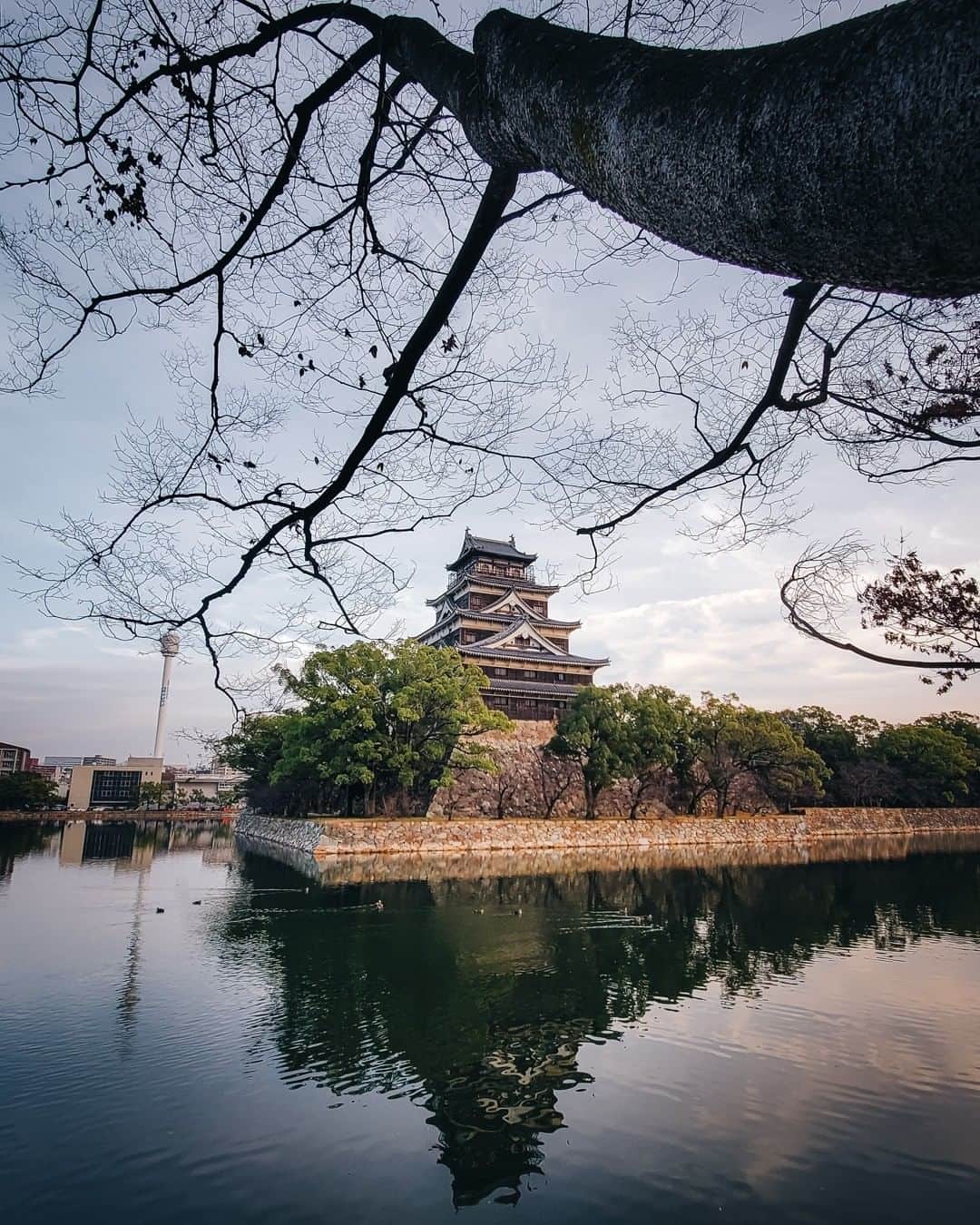 Galaxy Mobile Japanさんのインスタグラム写真 - (Galaxy Mobile JapanInstagram)「#GalaxyNote10Plus の超広角カメラで冬の広島城を撮影📸 城と枯れ木とリフレクションの共演がとても優雅です…😳 Galaxy の超広角カメラなら、目に見える景色を丸ごと1枚の写真に収められますよ👀ぜひ活用してみてください♪ 📸#GalaxyNote10+ #withGalaxy Photo by @_deepsky ・ ・ ・ #広島 #広島城 #広島旅行 #広島観光 #城 #城好き #城巡り #リフレクション #リフレクションのある景色 #絶景スポット #日本の絶景 #日本の景色 #日本の美 #hiroshima #hiroshimacastle #Galaxyカメラ部」12月30日 17時00分 - samsungjpn