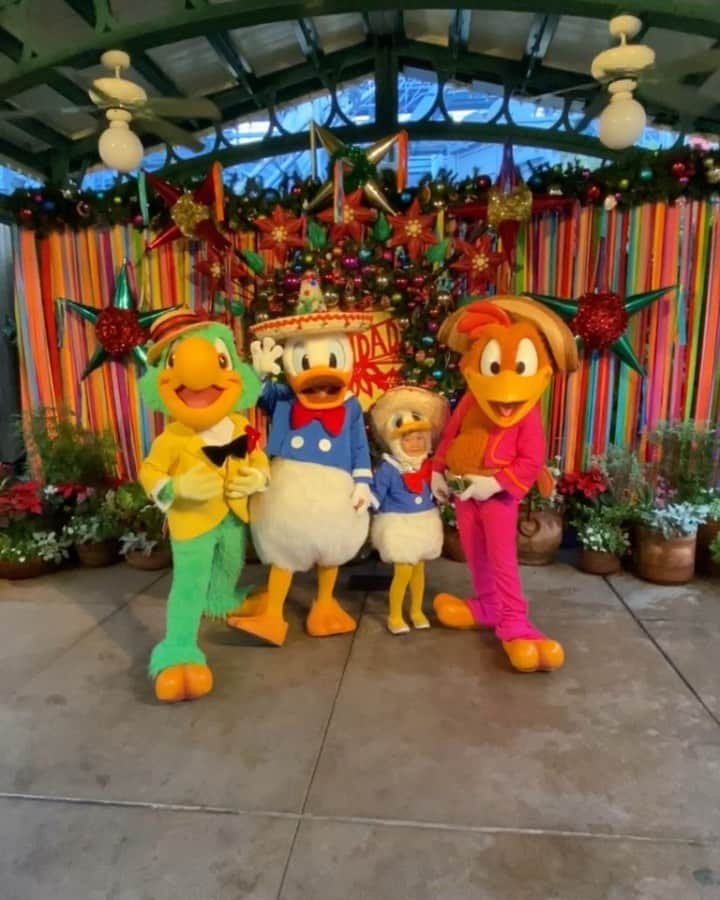tiahy__のインスタグラム：「Viva Navidad!. . .  The Three Caballeros and mini Donald. . . Thank you so much Donald and Panchito and José Carioca!. . . 三人の騎士　揃って会えるなんて本当に感激でした. .  メキシカンハットのドナちゃんすっごくお気に入り♡. . . . . この旅の投稿もあと少しで終わりです. 来年も良い年になりますように. . . . . Happy Holidays💐. . #disneyland#disneychristmas #taia_birthday #birthday #californiaadventure #donaldduck #taiacostume#donald_taia#disney #ディズニーコスチューム#ディズニー衣装」