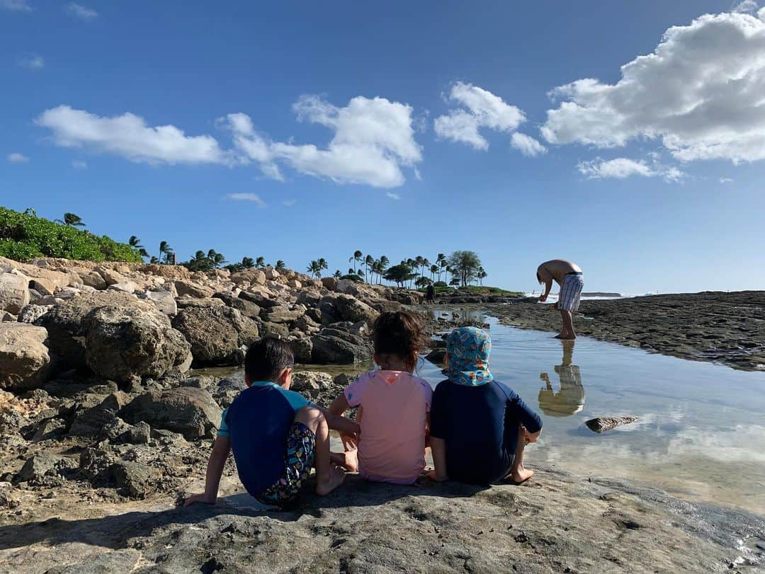 エリナ シルカさんのインスタグラム写真 - (エリナ シルカInstagram)「Amazing afternoon with the Sharps 🥰 ヤドカリハンターのおかげで子供達は生物の勉強ができました(^^) 笑　コオリナにタイドプールがあるって初めて知った〜！」12月30日 17時08分 - laura_elina_ymd