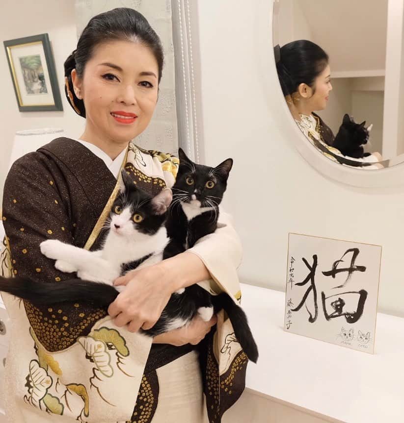 藤あや子さんのインスタグラム写真 - (藤あや子Instagram)「#今年の漢字 『猫』 何と言っても今年はこれに尽きます😸 この調子でいくと来年も 『猫』になる気しかしません😅 #マルとオレオ #マルオレ」12月30日 17時16分 - ayako_fuji_official
