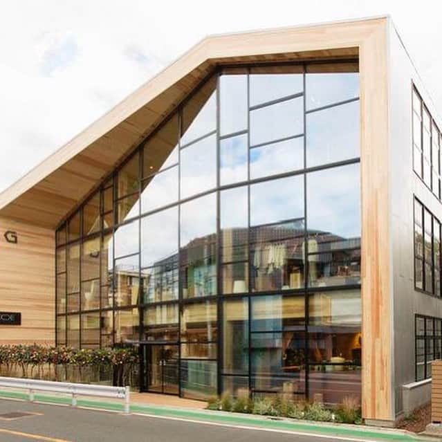 コエのグルメインスタ