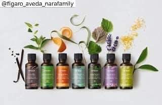 のインスタグラム：「Figaro AVEDA（1Ｆ）ならファミリー店 . 年末年始も休まず営業してます。 . . . 1/1からのご予約お待ちしてます☺️🙌💓 . . . ＊＊＊＊＊＊＊＊＊＊＊＊＊＊＊＊＊＊＊＊＊＊＊＊＊＊＊＊＊＊＊＊＊＊＊＊＊＊＊＊＊＊ . . >>>> FIGARO AVEDA <<<< .  オーガニックサロン ☞93%自然界由来成分配合AVEDAカラー . . . . 奈良県の奈良ファミリー専門店内 トータルビューティーサロンです☺︎ . . . . . 営業時間10:00〜20:00  年中無休 . . . 【  ご新規様限定 】 . カラーカット >> 7980 +tax . パーマカット >> 7980 +tax . カラーヘッドスパ 20min >> 6980 +tax . . . ステキなヘア、アイラッシュ提案させて頂きます。 是非一度お任せください！！ . . . ご予約お待ちしてます✂︎✂︎✂︎✂︎ . . . ℡0742-30-0188 . . . . . . #ヘア#ヘアアレンジ#ヘアスタイル#ヘアカラー#インスタ映え#ファッション#hair#サロンモデル#美容室#インテリア#外国人風#カラー#love #instagood #aveda#アヴェダ#beauty#オーガニック#셀카#撮影#お洒落さんと繋がりたい#美容師#model#奈良ファミリー#ならファグラム#フォトジェニック#いいね返し . . ＊＊＊＊＊＊＊＊＊＊＊＊＊＊＊＊＊＊＊＊＊ ＊＊＊＊＊＊＊＊＊＊＊＊＊＊＊＊＊＊＊＊＊」