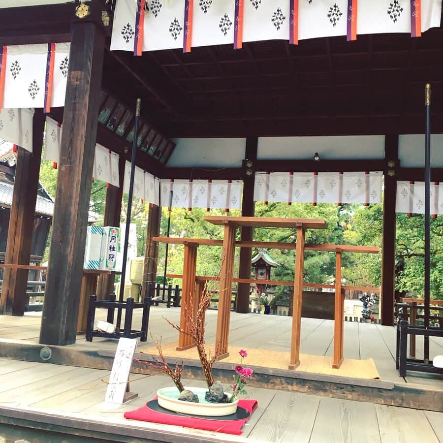 今村沙緒里さんのインスタグラム写真 - (今村沙緒里Instagram)「御霊神社。 KYOTO GRAPHIEオフィスのそば。 自然。ふしぎな空気。 気持ちが、澄んでいく。 すごく気に入ってしまいました☺︎ 大掃除、無事に終わり⛄️ ・ "Goryo" shrire in Kyoto. Very beautiful and clean mind！ ・ #kyoto #shrine #mind #relax #love #京都 #御霊神社 #自然 #また来たい」12月30日 19時25分 - saorix13