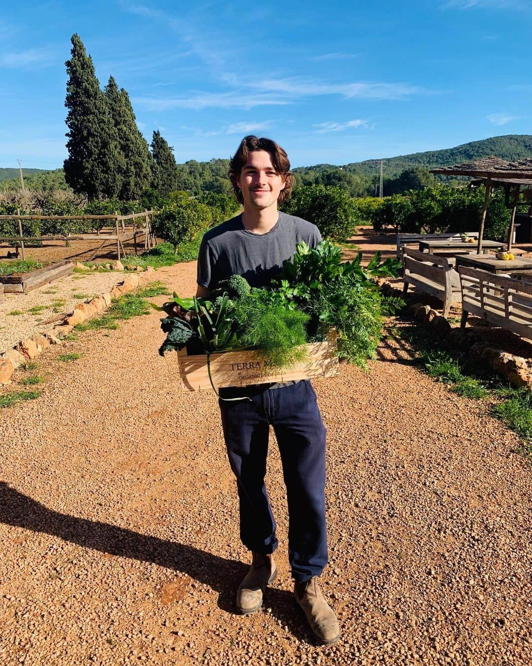 Jackson Harriesさんのインスタグラム写真 - (Jackson HarriesInstagram)「Christmas Harvest 🌶 🌽 🍅」12月30日 19時39分 - jackharries