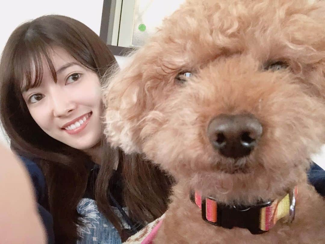 日下部美愛のインスタグラム：「癒し‪( ᷇࿀ ᷆ )‬ 一個前の投稿のメイクが濃いから顔全然違うね🤫 . . . #dog #photo #japan #model #me #hair #fashion #makeup #selfie #followme #instagood #camera #instadaily #dailylook #selfie #한국 #맞팔 #사진 #데일리 #데일리룩 #인스타사진 #인스타그램 #일본인 #패션 #패션스타그램」