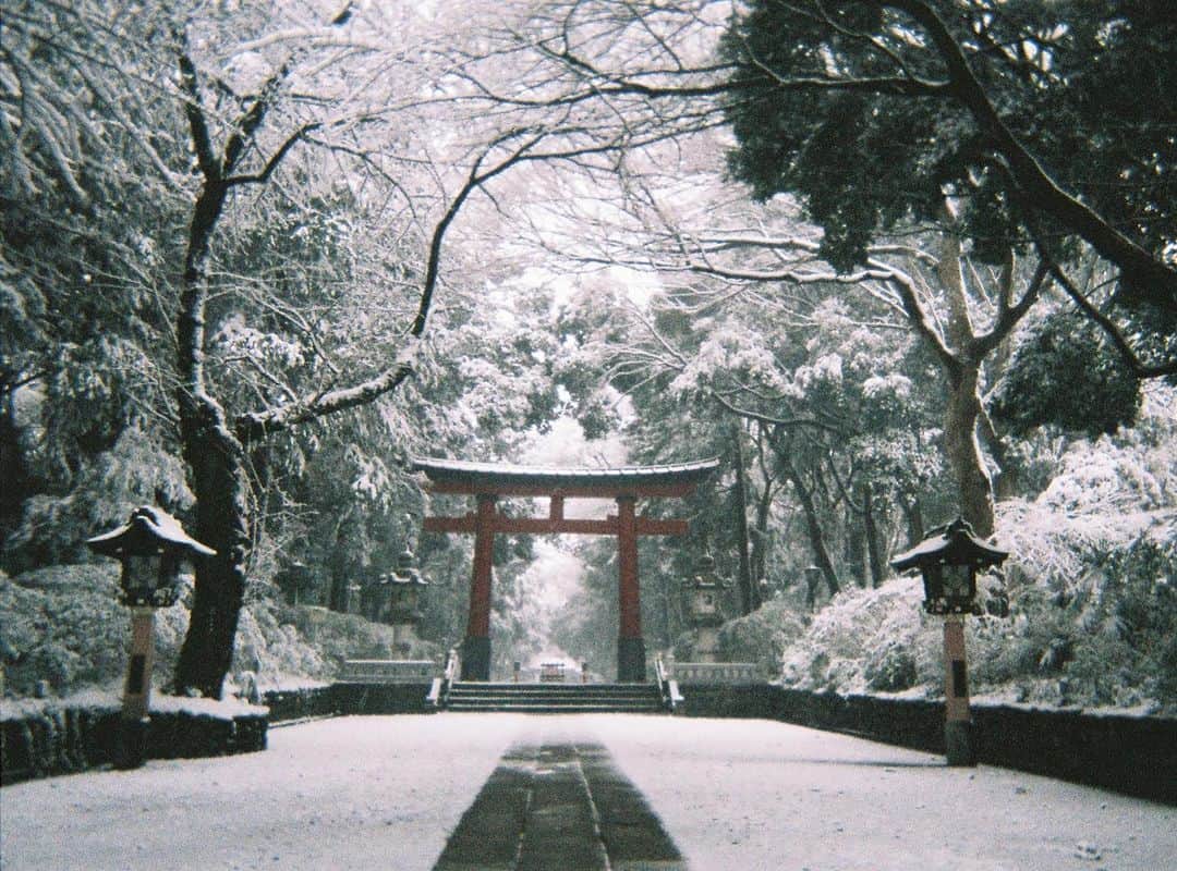 東京DANDYのインスタグラム：「Winter symbolizes the natural closure of one chapter as we pass through a gate to the next.  With gratitude for the past decade, we look forward to what lays ahead. Wishing everyone safe travels home for oshogatsu and a New Year filled with optimism.  #Disposables #DisposablesBook #35mm #正月 #神社 #使い捨てカメラ #DisposableCamera #2019 #photobook #somewheremood #winter」