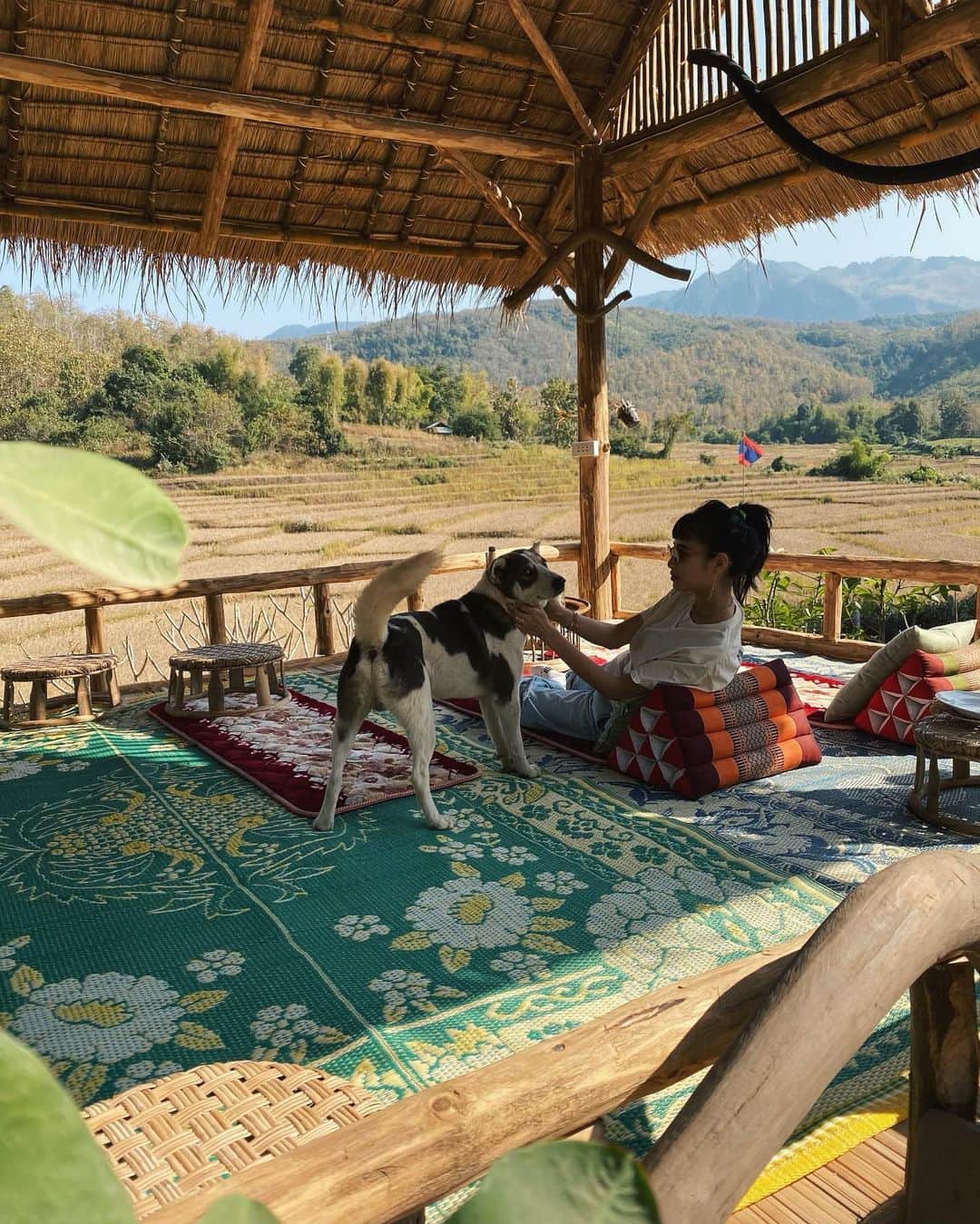 Juriさんのインスタグラム写真 - (JuriInstagram)「たまたま立ち寄ったカフェで最高のロケーション　人懐っこいわんころにも会えた🍁　#laos」12月30日 20時50分 - juritakiguchi
