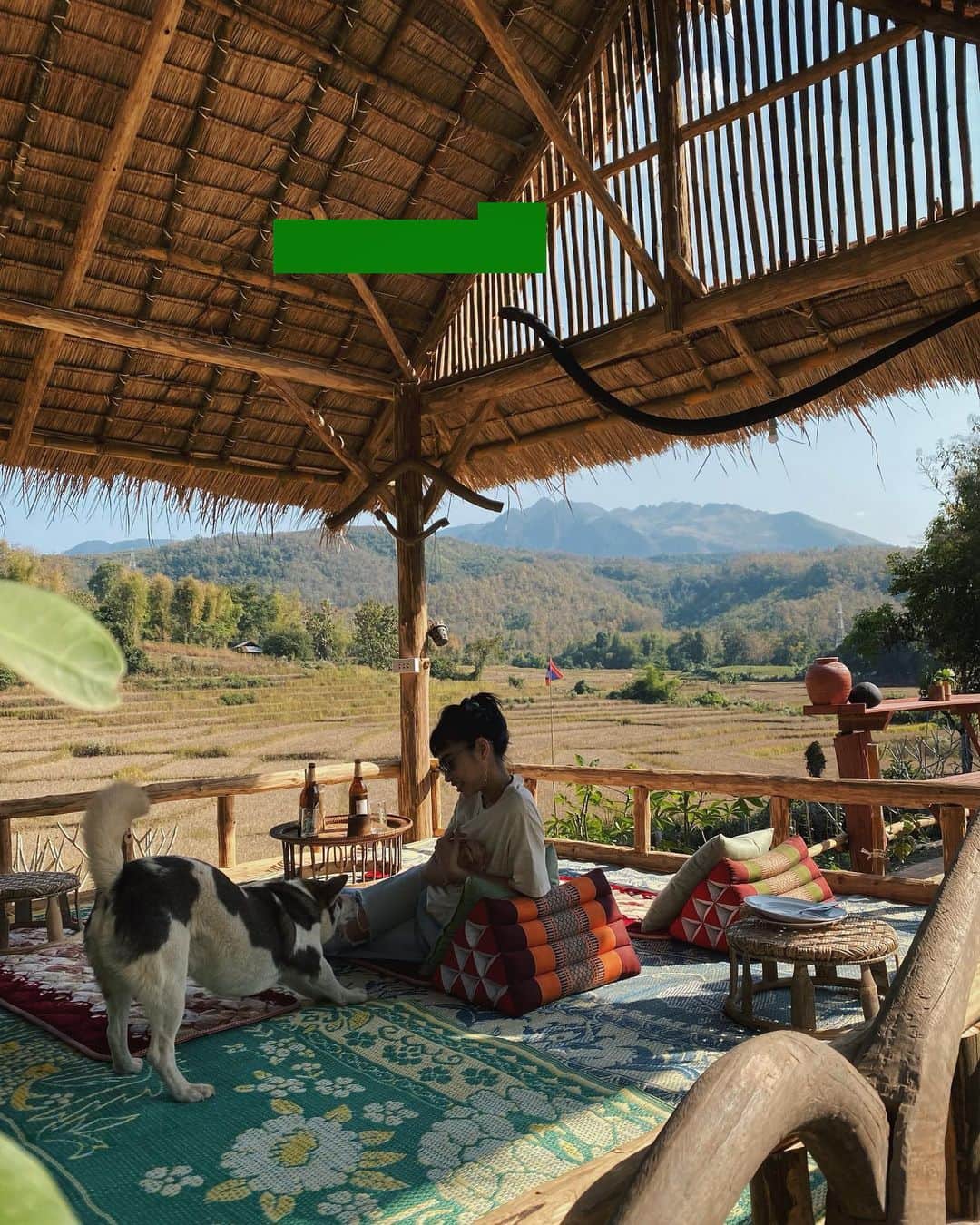 Juriさんのインスタグラム写真 - (JuriInstagram)「たまたま立ち寄ったカフェで最高のロケーション　人懐っこいわんころにも会えた🍁　#laos」12月30日 20時50分 - juritakiguchi