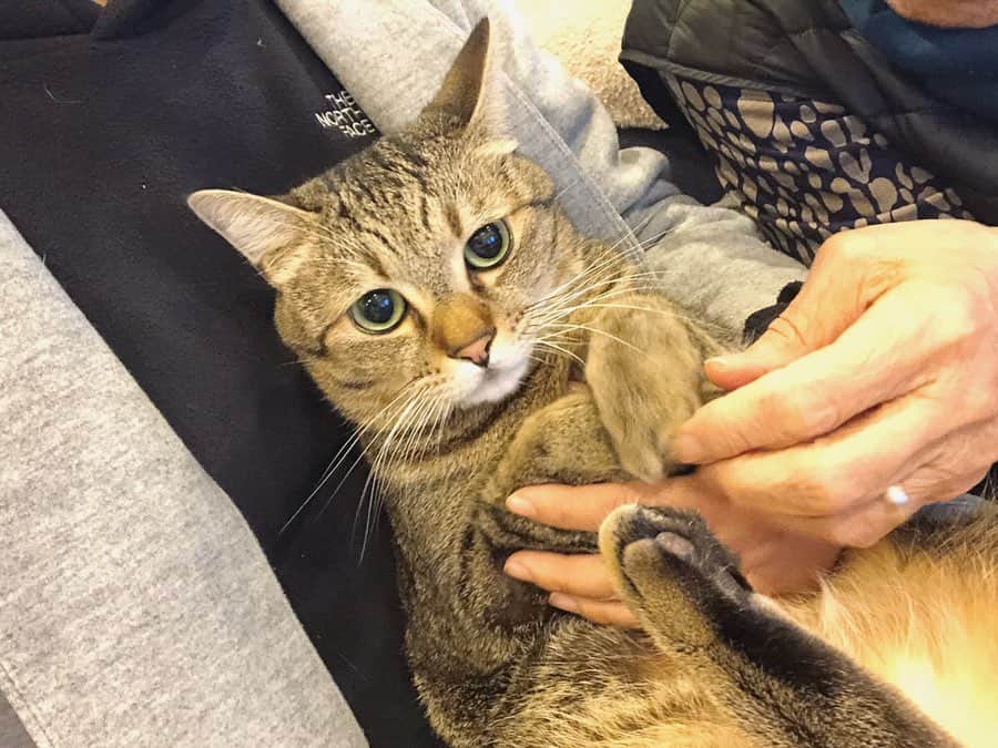 中山美香のインスタグラム
