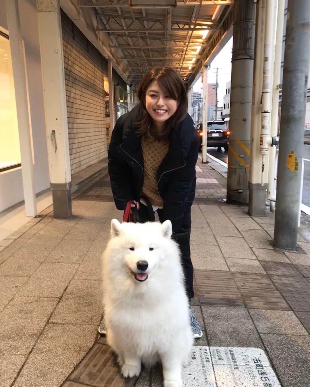 齋藤優紀さんのインスタグラム写真 - (齋藤優紀Instagram)「念願のわんさん😭❤️❤️❤️ 上古町をお散歩させてもらったよ！ めちゃかわいいほわほわ❤️❤️❤️❤️ すれ違うひとが、みんな可愛い可愛い言うから、わたしまで嬉しくなったよ😆😆😆✨✨りゅうちゃんありがとう！  #サモエド#わんさん#かみふるまち #かみふるまち商店街」12月30日 21時09分 - yuki_fit0828