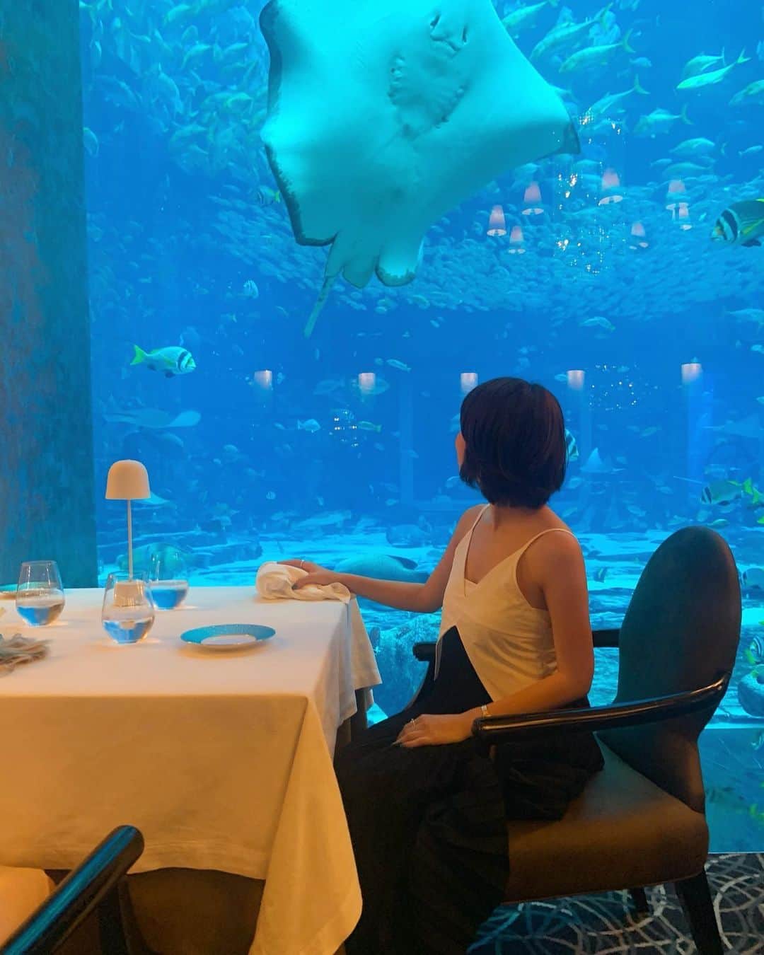 yuiさんのインスタグラム写真 - (yuiInstagram)「. . iPhone11の広角で撮ってもらったので、 腕が伸びすぎですが😂😂 . . エイのお腹が可愛すぎる🥺😍💕❤️(2枚目) . 気分はアリエル🧜‍♀️ のようだった🥺 . エンターテイメントみたいなレストランなんだろう。 なんて思っていたけどお料理も美味しかった♡ . のんびりランチして楽しかった😍. . .  #ゆい旅#yuitrip✈️ #yuiinDubai #Atlantishotel #アトランティスホテル」12月30日 21時14分 - yuiram
