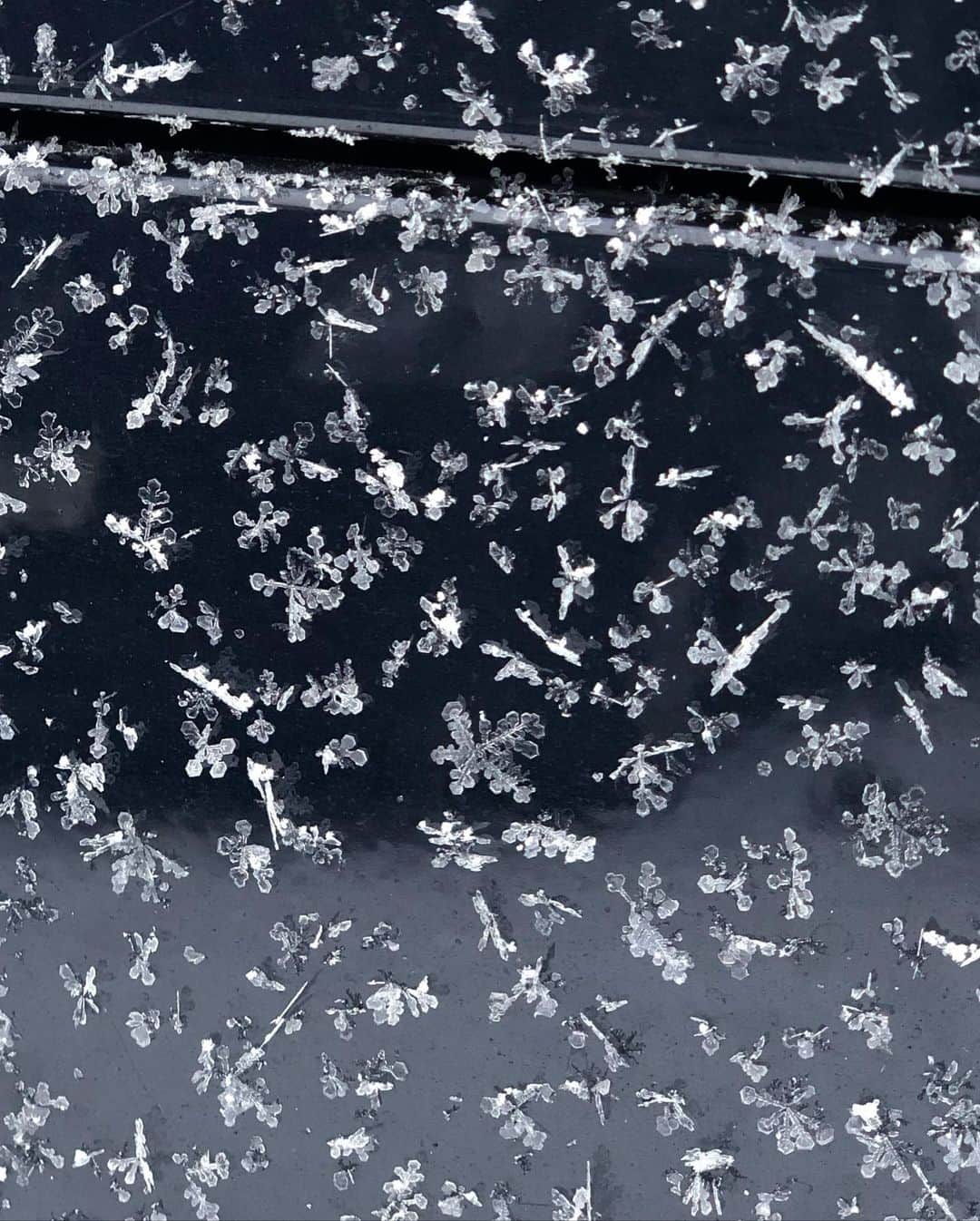 伊藤みきさんのインスタグラム写真 - (伊藤みきInstagram)「Snowflake ❄️ すごく綺麗だったなぁ。 寒いと、綺麗な結晶が出来るらしい。そんな事も知らなかった😳  #snowflake #結晶　#備忘録　#さてお家に帰ります　#良いお年を #素敵な年越しを」12月30日 21時28分 - itomikiitos