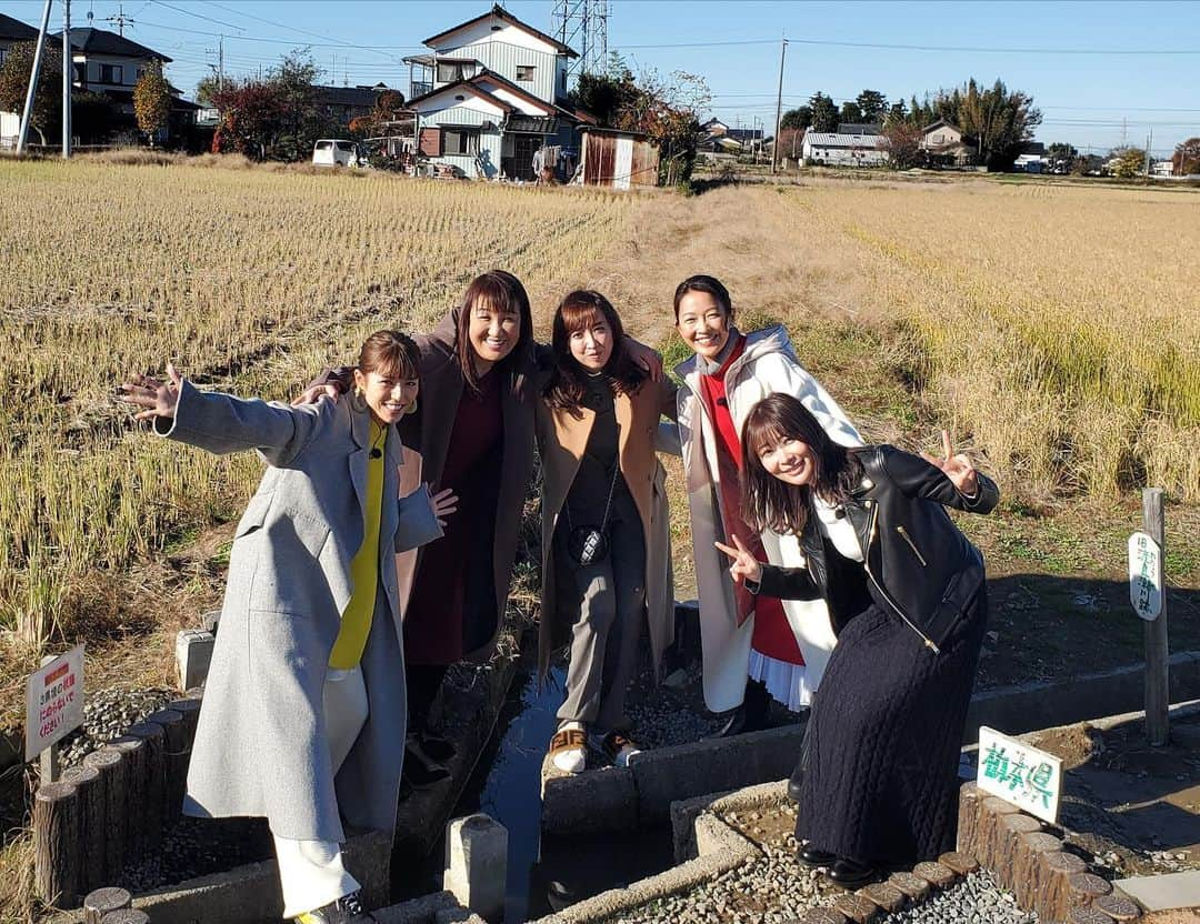 日本テレビ「今夜くらべてみました」さんのインスタグラム写真 - (日本テレビ「今夜くらべてみました」Instagram)「‪2020年元日🎍正午から3時間SP✨🎉豪華３本立て🎊‬ ‪番組MC指原と北関東出身女子が‬ ‪北関東3県のおめでたいスポット巡る開運弾丸ツアー🌅‬ ‪埼玉出身・若槻千夏と巡る吉見百穴や、群馬出身・紫吹淳とゆりもりがデカ盛りグルメ🍽 茨城では羽田美智子がイケメン市長と⁉️‬ ‪. #今夜くらべてみました #今くら .  #2020年1月1日正午 .  #後藤輝基 #SHELLY #指原莉乃 .  #若槻千夏 #紫吹淳 #羽田美智子 .  #北斗晶 #ゆりもり #赤プル .  #フォロワーカモーンヌ .  #フォロワーもうすぐ2万人」12月30日 21時42分 - ntv_konkura