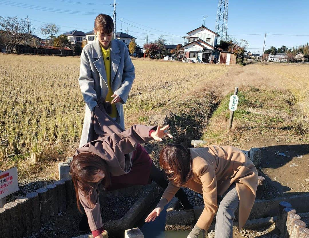 日本テレビ「今夜くらべてみました」さんのインスタグラム写真 - (日本テレビ「今夜くらべてみました」Instagram)「‪2020年元日🎍正午から3時間SP✨🎉豪華３本立て🎊‬ ‪番組MC指原と北関東出身女子が‬ ‪北関東3県のおめでたいスポット巡る開運弾丸ツアー🌅‬ ‪埼玉出身・若槻千夏と巡る吉見百穴や、群馬出身・紫吹淳とゆりもりがデカ盛りグルメ🍽 茨城では羽田美智子がイケメン市長と⁉️‬ ‪. #今夜くらべてみました #今くら .  #2020年1月1日正午 .  #後藤輝基 #SHELLY #指原莉乃 .  #若槻千夏 #紫吹淳 #羽田美智子 .  #北斗晶 #ゆりもり #赤プル .  #フォロワーカモーンヌ .  #フォロワーもうすぐ2万人」12月30日 21時42分 - ntv_konkura