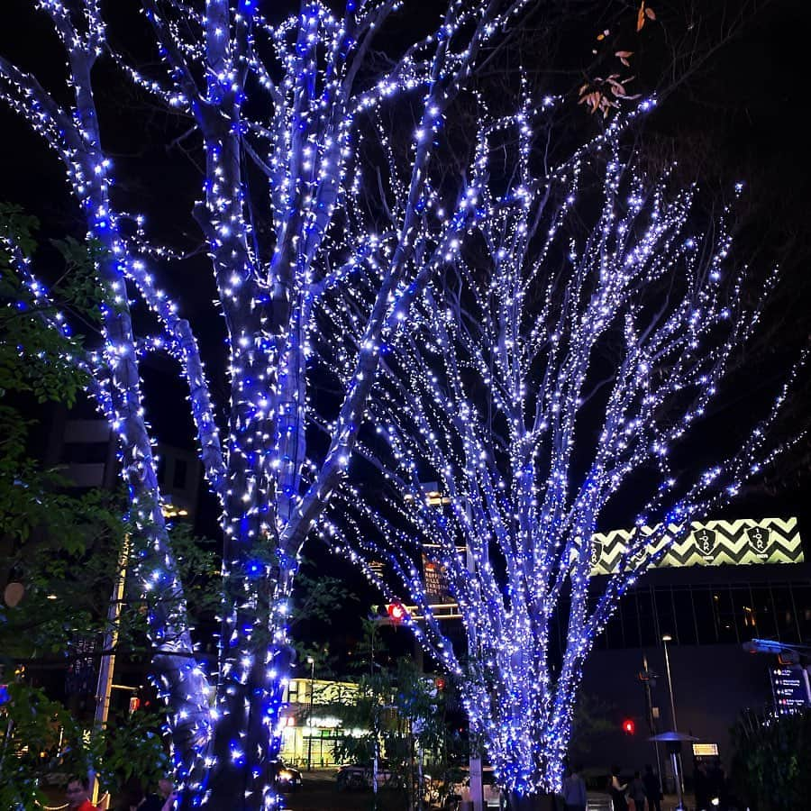 JULIANさんのインスタグラム写真 - (JULIANInstagram)「Roppongi Hills Christmas 2019 🗼 #keyakizaka  #tokyotower  #roppongi #roppongihills  #minatoku #illumination  #japan_of_insta #japan_night_view  #六本木 #六本木ヒルズ #けやき坂  #けやき坂イルミネーション #東京タワー　#🗼 #イルミネーション　#動画  #デート　#デートスポット　#キラキラ #夜景　#夜景ら部 #景色　#綺麗 #カメラ　#カメラのある生活  #ファインダー越しの私の世界  #インスタ映え　#フォトジェニック #インフルエンサー　#インスタグラマー」12月30日 22時11分 - julian_official_jp