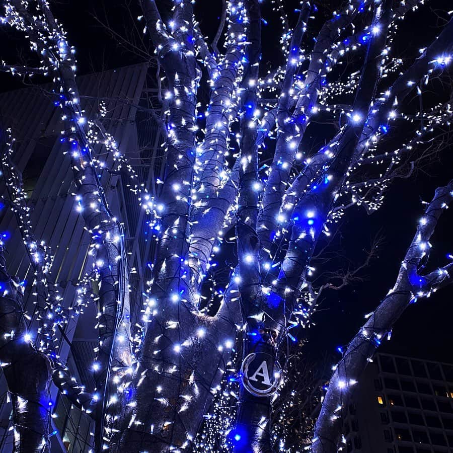 JULIANさんのインスタグラム写真 - (JULIANInstagram)「Roppongi Hills Christmas 2019 🗼 #keyakizaka  #tokyotower  #roppongi #roppongihills  #minatoku #illumination  #japan_of_insta #japan_night_view  #六本木 #六本木ヒルズ #けやき坂  #けやき坂イルミネーション #東京タワー　#🗼 #イルミネーション　#動画  #デート　#デートスポット　#キラキラ #夜景　#夜景ら部 #景色　#綺麗 #カメラ　#カメラのある生活  #ファインダー越しの私の世界  #インスタ映え　#フォトジェニック #インフルエンサー　#インスタグラマー」12月30日 22時11分 - julian_official_jp