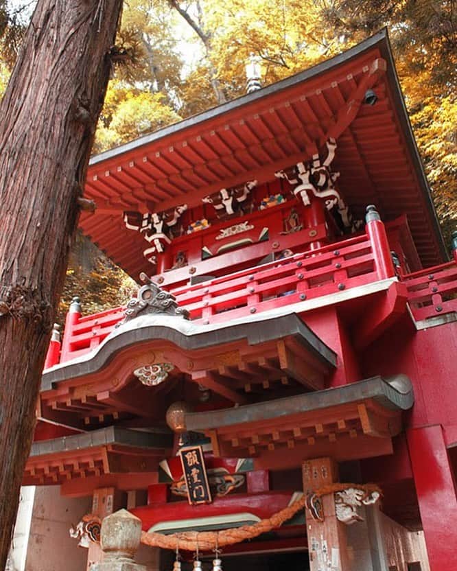 福島県のグルメインスタ