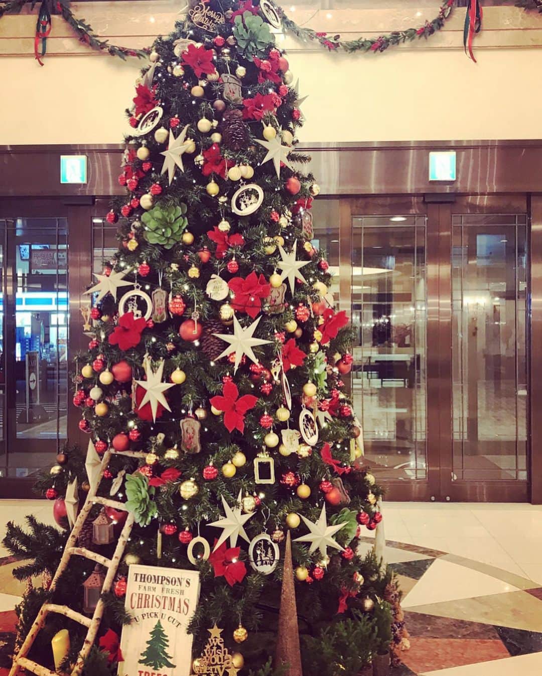 三浦泉さんのインスタグラム写真 - (三浦泉Instagram)「* クリスマス🎄の日のランチは 親友よしえちゃん&姫ちゃん3人で女子会しました💗❤️♥️ * 　楽しい時間に🎄❤️🍰🎁 * 　12月生まれのよしえちゃんには 今回　ル・クルーゼの限定お皿セット〜お渡ししました🎁💕 *  喜んでくれて嬉しい〜🎉🎂🤗 *  そしてキラキラのジュェリーBOXいただきました。写真の奥は昨年🎁　手前が今年🎁 *  好みのインテリアが増えていって 嬉しい〜😊💗♥️❤️🎀 *  ありがとう🎁🎄 * * #お誕生日お祝い会 #12月生まれ  #女子会 #お誕生日プレゼント #好みのインテリア」12月30日 22時54分 - princessizu1201