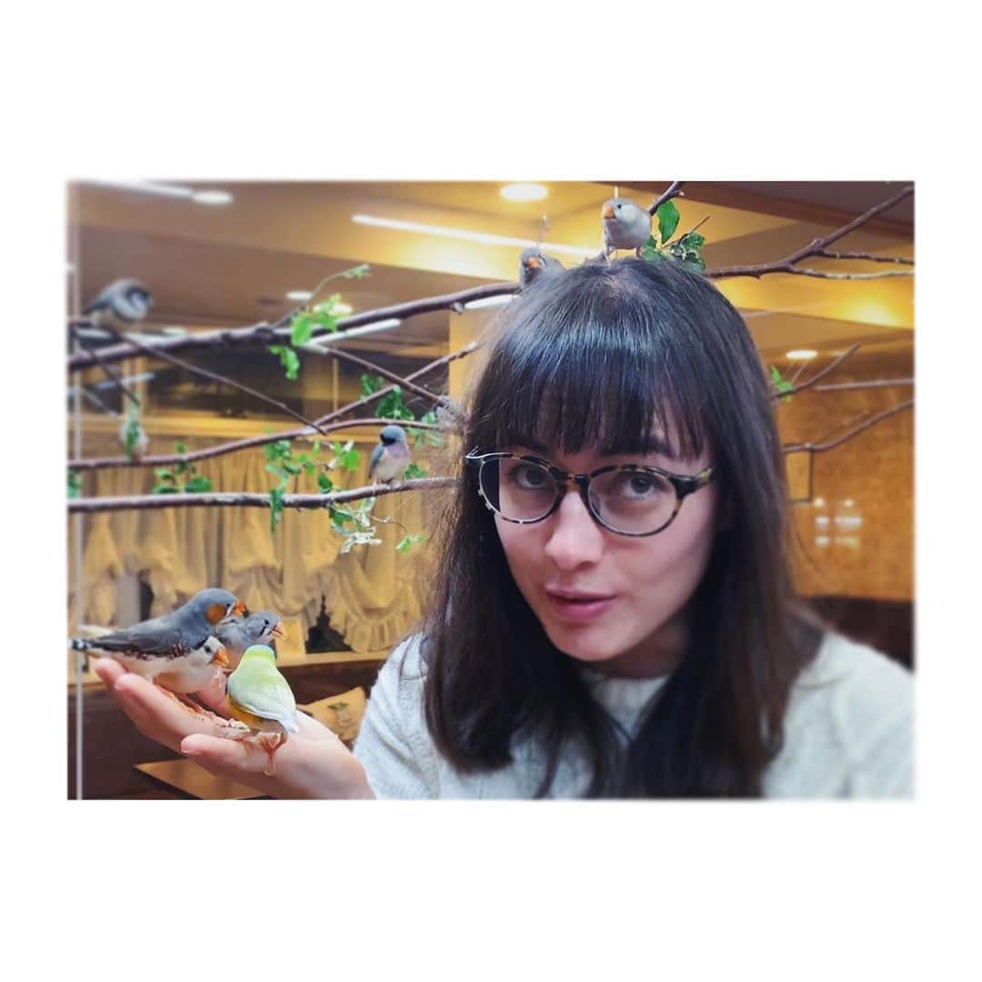 中井ノエミのインスタグラム：「👑Lady Bird, the sequel. 🐥🦜🦩❣️ . . . #ihaveacomfyhead #tuppenceabag #birdsnest #birdsofinstagram #birdy #nest #hellothere #hair #ladybird #birdlady #woopwoop #toocoolforschool #animals #headstand #marypoppins #feedthebirds」