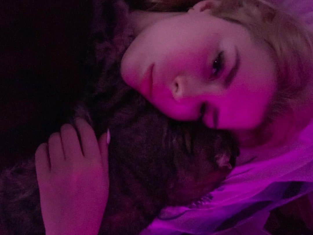 ALINA AKULAのインスタグラム：「Прощаюсь со сладкой булочкой на 7 дней 💜 А вы путешествуете с любимцами? Был опыт?」
